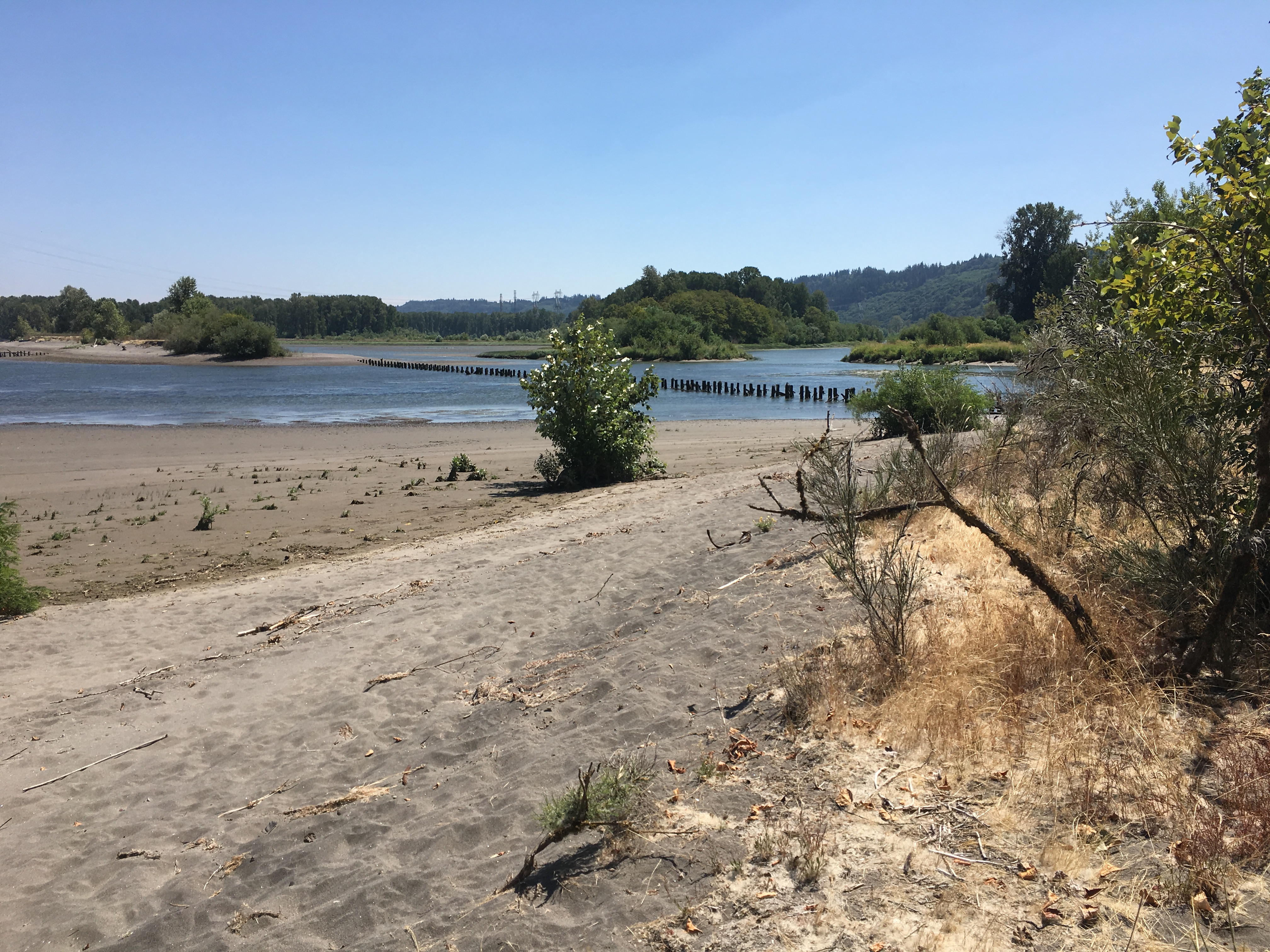 Walker Island East (OR) Estuary Partnership